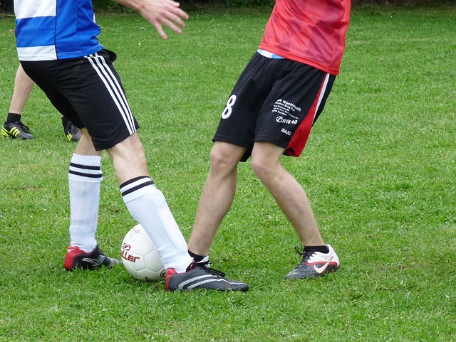 例如强调外 例如强调外