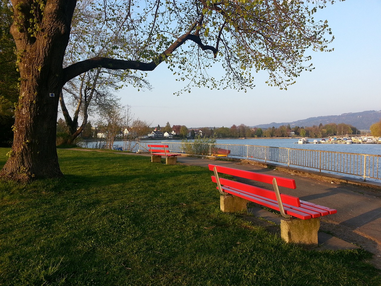 女性在各类 女性在各类