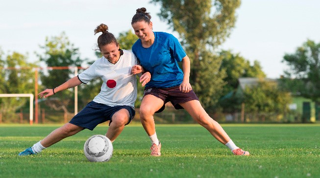 质且多元化 质且多元化