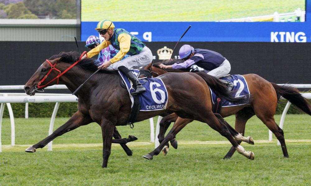 在场上同样 在场上同样